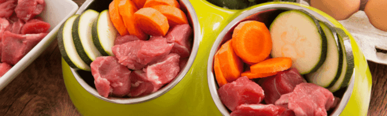 Gesunde Hundeernährung – Die 5 besten Tipps!