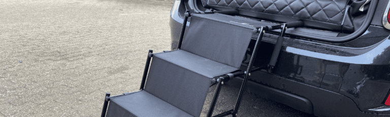 Hundetreppe fürs Auto – Unser Test