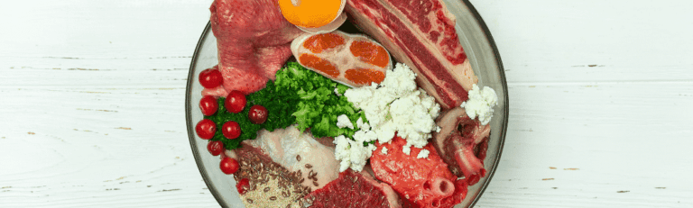 Was ist BARFEN? Einfach erklärt!