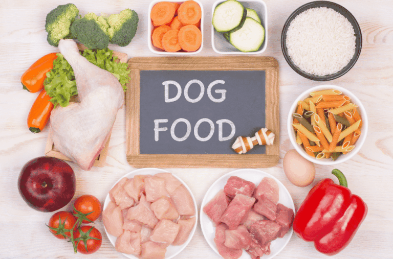 richtig Barfen für Hunde