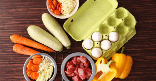 hochwertiges Hundefutter erkennen