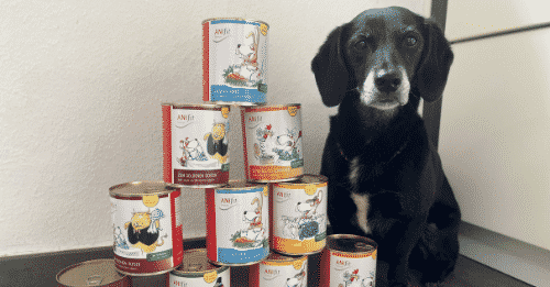 Beitragsbild Anifit Hundefutter