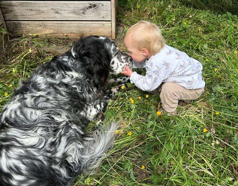 dd3fd4b7-b29e-4d2f-8f66-b9551bf37312